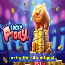 ortocity são miguel
