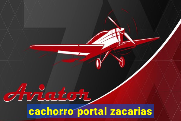 cachorro portal zacarias