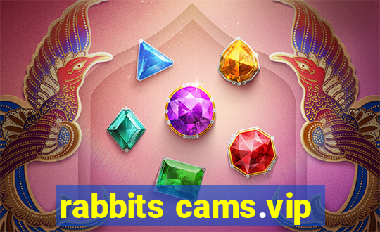 rabbits cams.vip