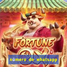 número de whatsapp de mulher de programa