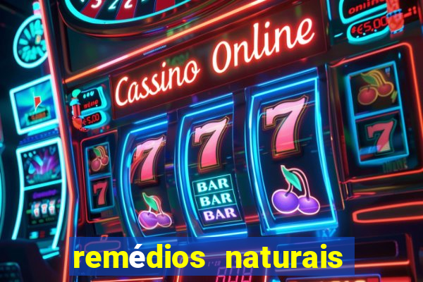 remédios naturais para diabetes
