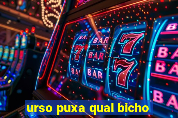 urso puxa qual bicho