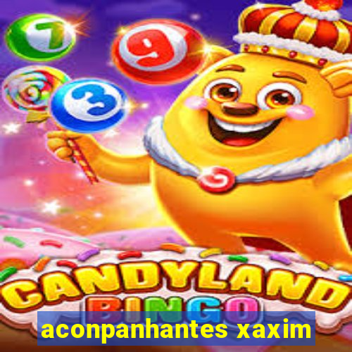 aconpanhantes xaxim