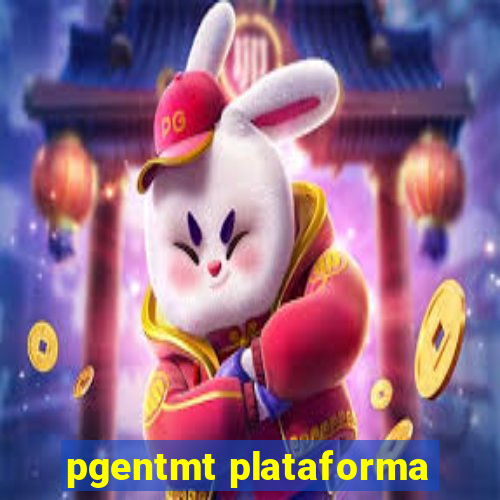 pgentmt plataforma