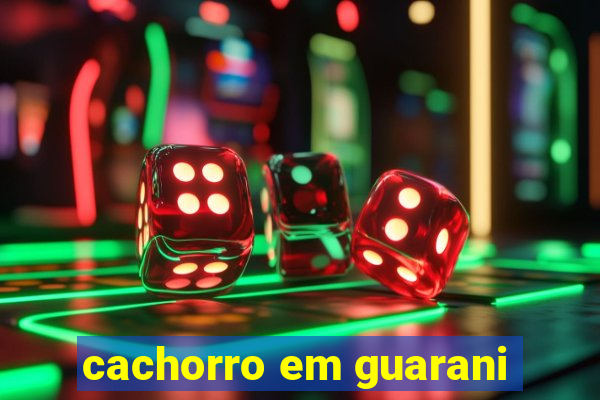 cachorro em guarani
