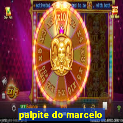 palpite do marcelo